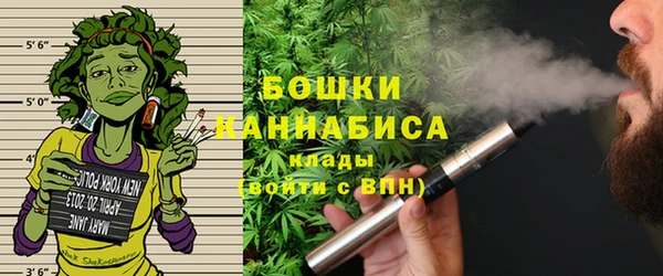 гидра Арсеньев