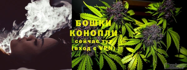 гидра Арсеньев