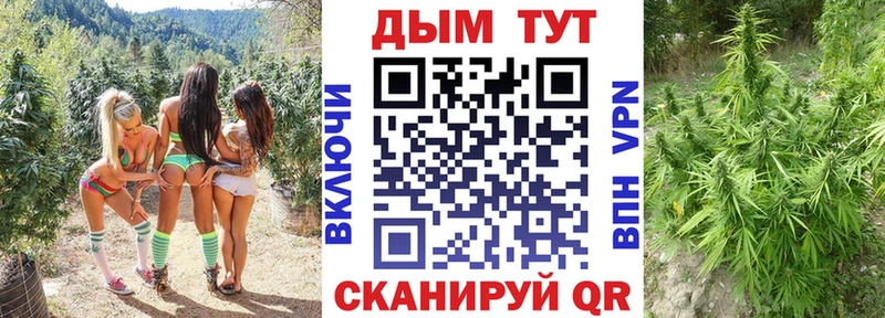 где купить наркоту  Арсеньев  Бошки марихуана гибрид 